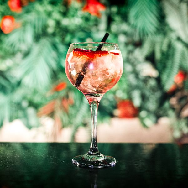 Variace na Gin & Tonic s citrusem